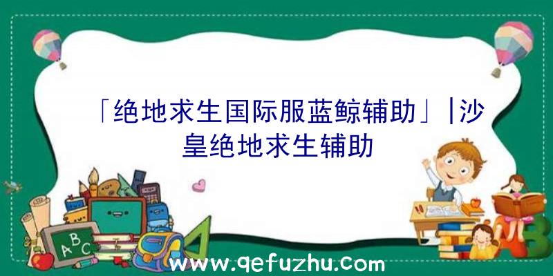 「绝地求生国际服蓝鲸辅助」|沙皇绝地求生辅助